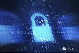 2016年十大科技趋势 人类迈向网络与信息安全软件开发新时代