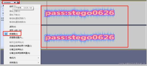 CTF 2023一带一路金砖国家技能发展与技术创新大赛网络安全在企业信息管理中的应用赛项线下总决赛 Misc1 题解WP