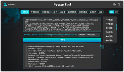 一键解密 网络与信息安全软件开发的新纪元